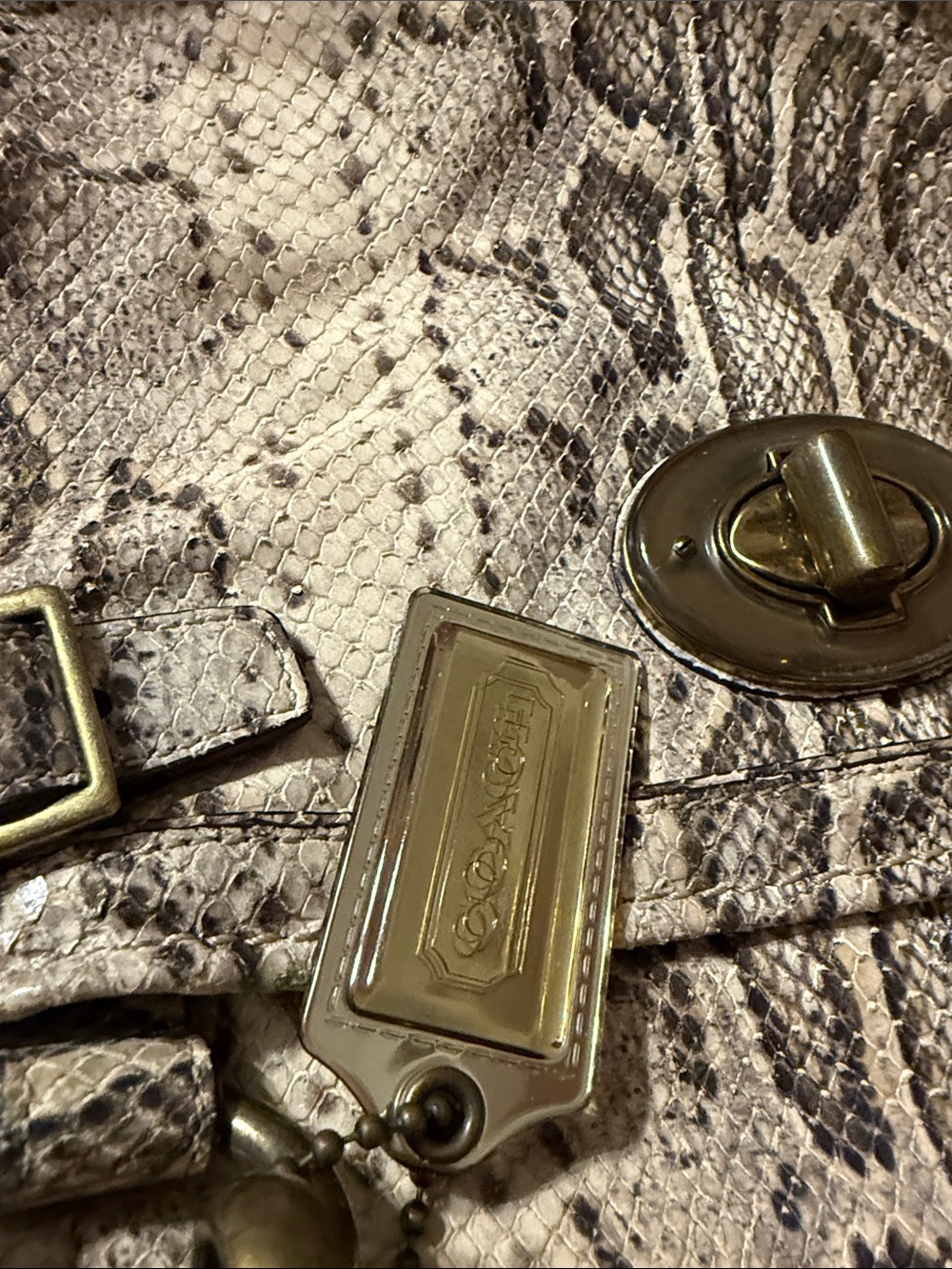Coach Limited Edition Python Handbag - Picture 9 of 9